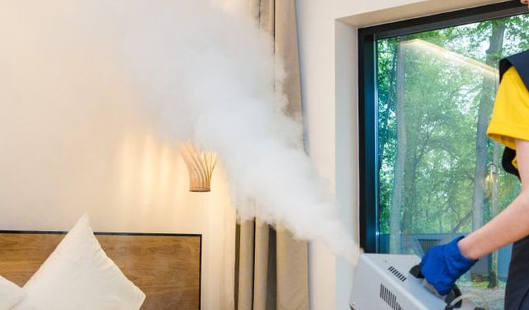 likwidacja gniazd os, szerszeni, opryski przeciw kleszczom, likwidacja gryzoni, deratyzacja, Dolnośląskie